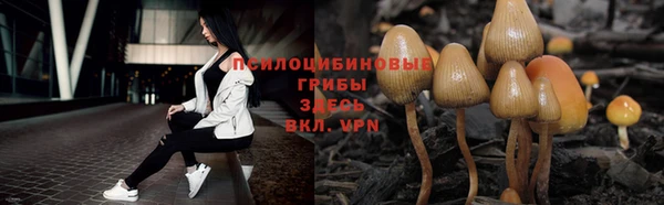амфетамин Аркадак