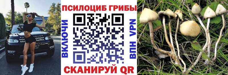 Галлюциногенные грибы ЛСД  Таруса 